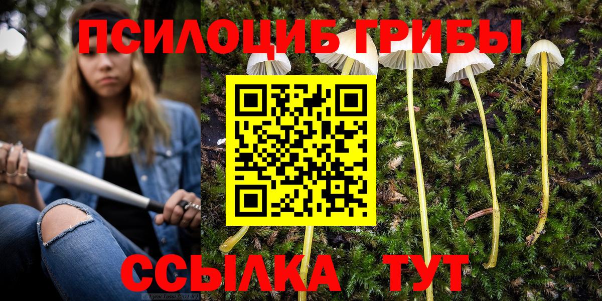 Галлюциногенные грибы прущие грибы Калач-на-Дону