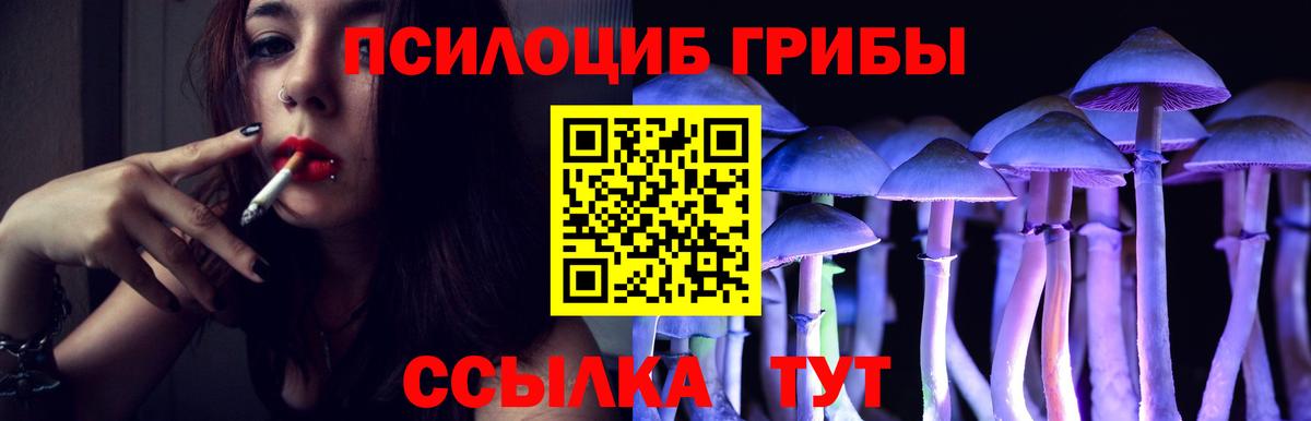Галлюциногенные грибы мицелий  Вход с VPN  Галлюциногенные грибы мицелий  Калач-на-Дону 